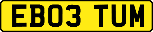 EB03TUM