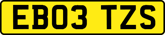 EB03TZS