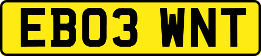 EB03WNT