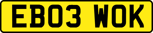 EB03WOK