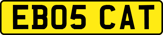 EB05CAT