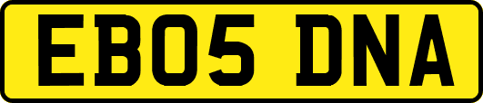 EB05DNA