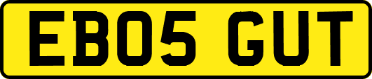 EB05GUT
