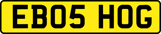 EB05HOG