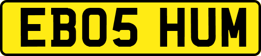 EB05HUM