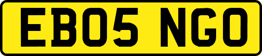 EB05NGO