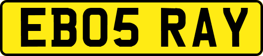 EB05RAY