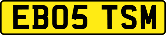 EB05TSM