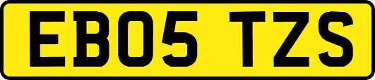 EB05TZS