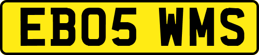 EB05WMS