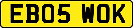 EB05WOK