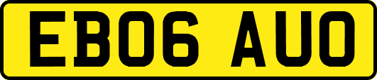 EB06AUO
