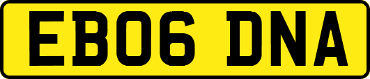 EB06DNA