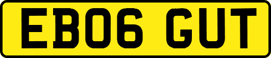 EB06GUT