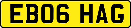 EB06HAG