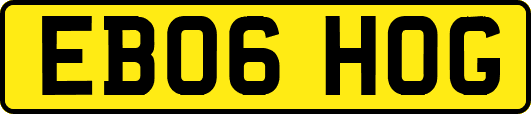 EB06HOG
