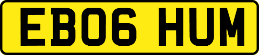 EB06HUM