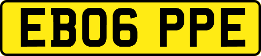 EB06PPE