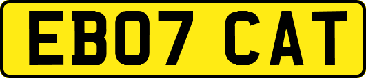 EB07CAT