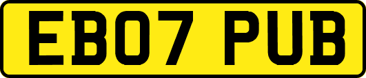 EB07PUB