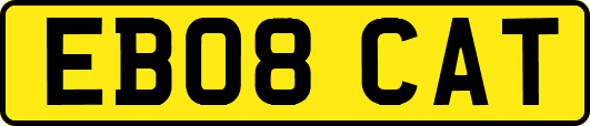 EB08CAT