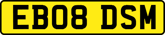 EB08DSM