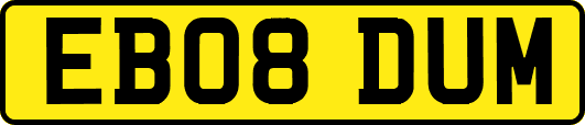 EB08DUM