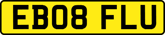 EB08FLU