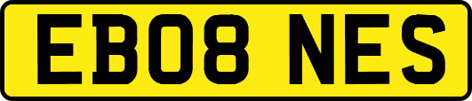 EB08NES