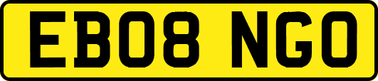 EB08NGO