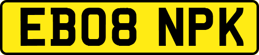 EB08NPK