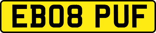 EB08PUF