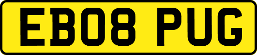 EB08PUG