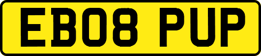 EB08PUP