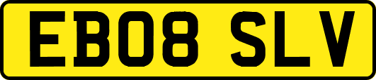EB08SLV