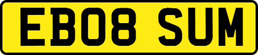 EB08SUM