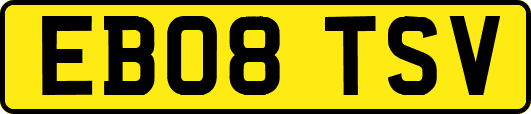 EB08TSV
