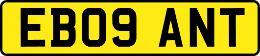 EB09ANT