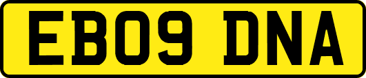 EB09DNA