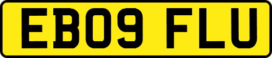 EB09FLU