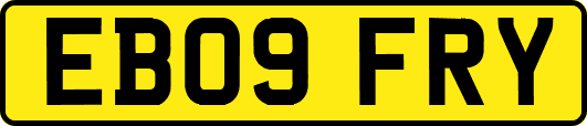 EB09FRY
