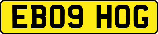 EB09HOG