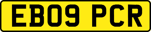 EB09PCR