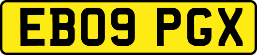 EB09PGX