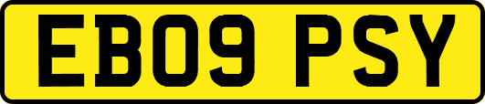 EB09PSY