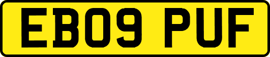 EB09PUF