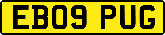 EB09PUG
