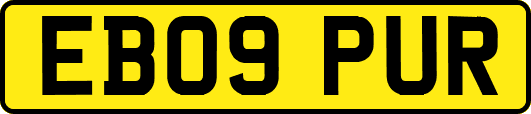 EB09PUR