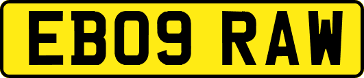 EB09RAW