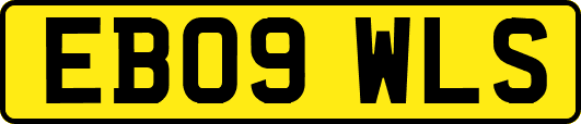 EB09WLS
